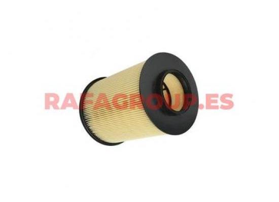 RGC16134/2 - Filtro de aire